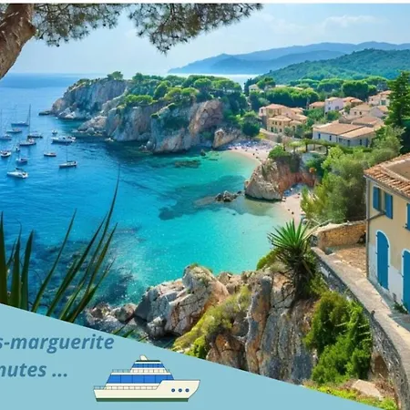 Gray D'albion - Ascenseur - A 2 Mn Du Palais Cannes